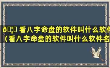 🦟 看八字命盘的软件叫什么软件（看八字命盘的软件叫什么软件名字）